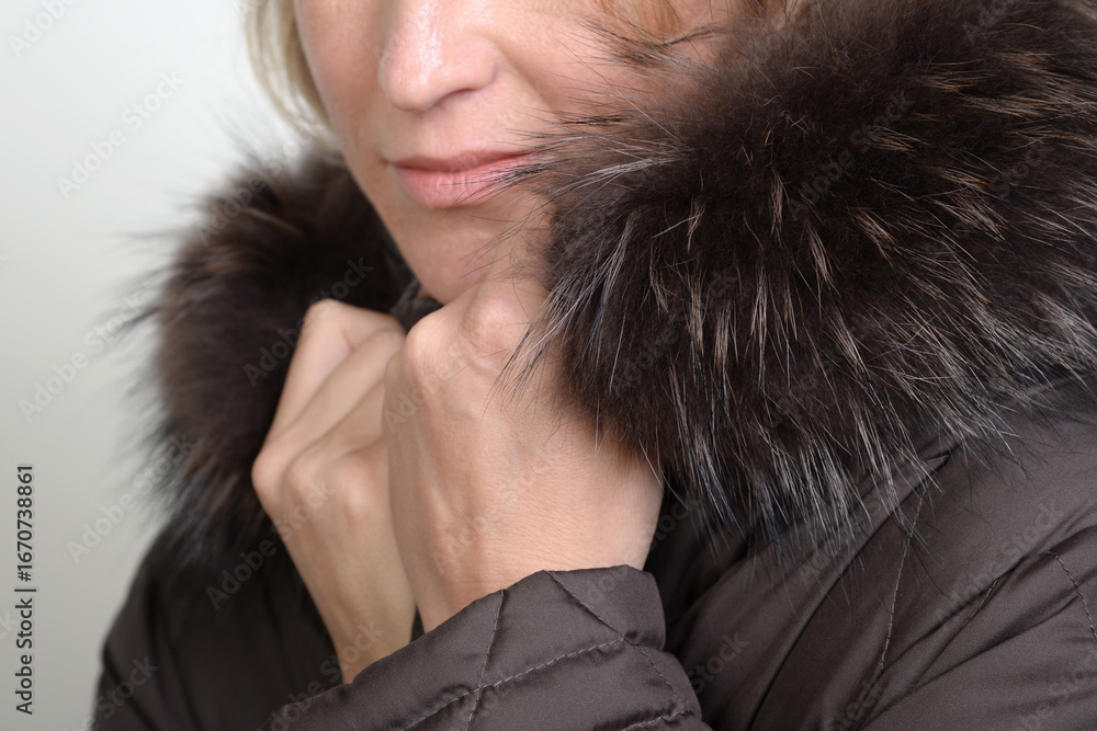 Naklejka premium frau, fell, winter, schönheit, gestalten, mantel, haar, leitbild, gesicht, person, erkältung, leute, lächelnd, auge, 1, glamour, jacke, kleidung, black, lächeln, anschauen, haube, collier, fröhlichkei