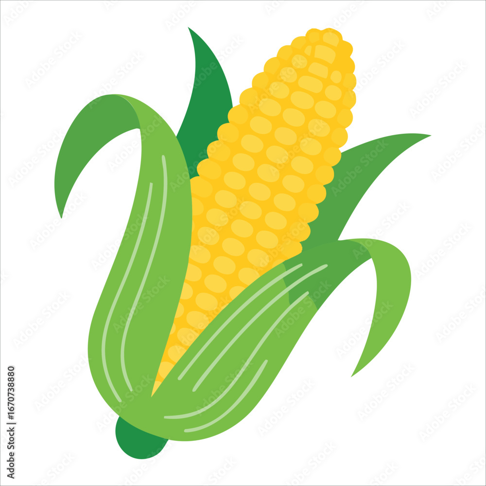 Obraz premium fresh corn cob with husk vector isolated on white