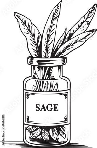 Sage apothecary vial outline. Minimalist black and white vector of vintage herbal healing container.