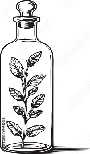 Mint leaves apothecary bottle outline. Minimalist black and white vector herbal glass container.