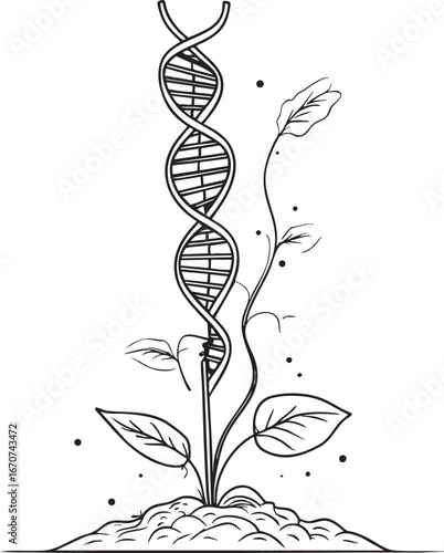DNA plant fusion outline vector. Symbol of biotechnology in agriculture.