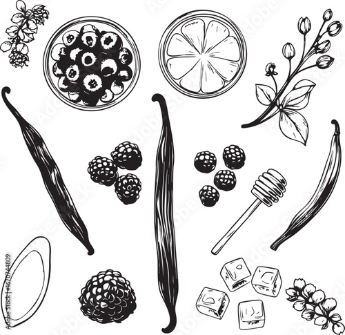 Sweet dessert ingredients in outline. Chocolate vanilla berries and honey vector icons.