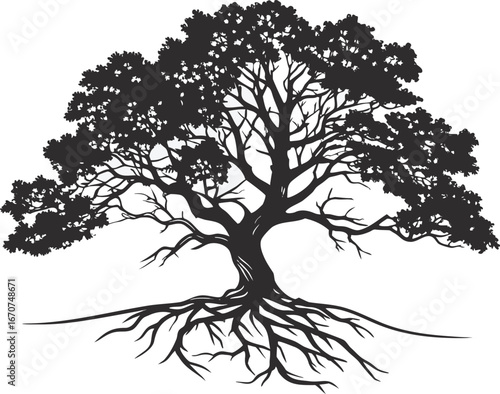 Silhouette of a large ancient tree with exposed roots against a white background