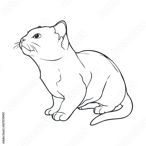 Playful cat sitting with alert posture and curious expression. Vector illustration