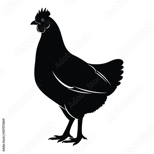 Black silhouette of a standing chicken farm animal side view detailed artistic rendering silhouette