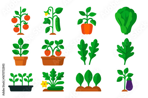 Collection of plants and vegetables, including tomatoes, peppers, lettuce
