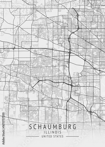 Schaumburg - Illinois - US Gray Map Art