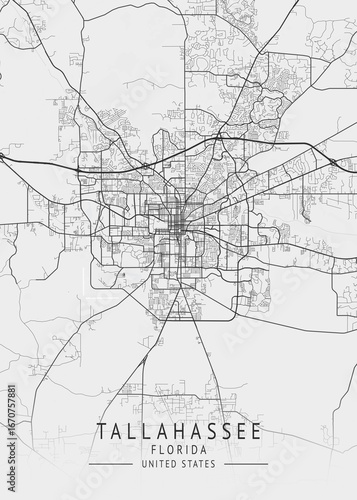 Tallahassee - Florida - US Gray Map Art
