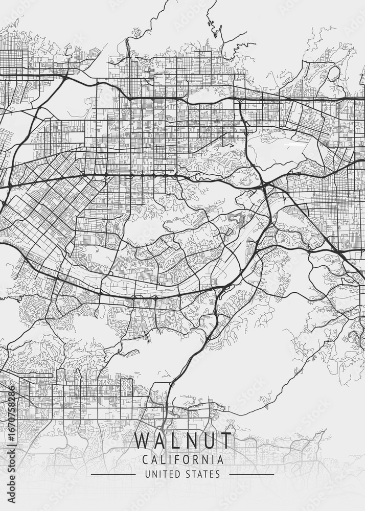 Obraz premium Walnut - California - US Gray Map Art