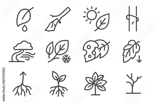 Bonsai Growth Icons. Line style icons of bonsai growth challenges: underwatered leaf, overpruned branch, sunburnt tip, broken wire