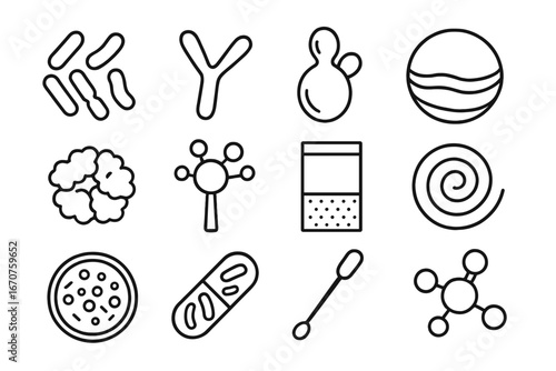 Fermentation Bacteria Icons. Line style icons of fermentation bacteria and cultures: lactobacillus symbol, bifidobacterium icon,