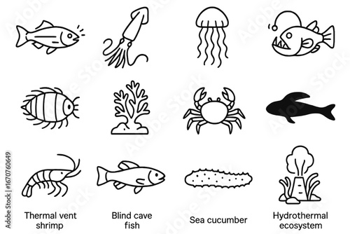 Marine Biodiversity Icons. Line style icons of marine biodiversity tracking: bioluminescent fish, giant squid, deep-sea jellyfish,