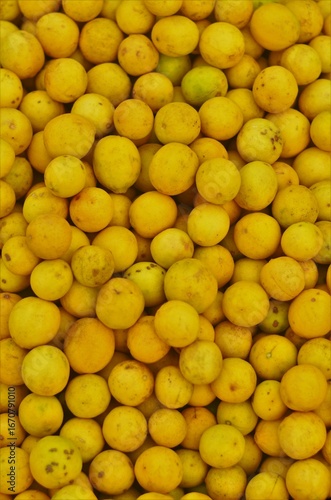 lemon 