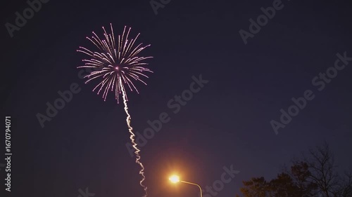 Pyrotechnic exhibition against nocturnal backdrop illuminated by urban lighting