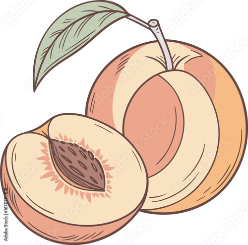 Juicy ripe peach halved revealing sweet flesh and pit surrounded by fresh green leaf