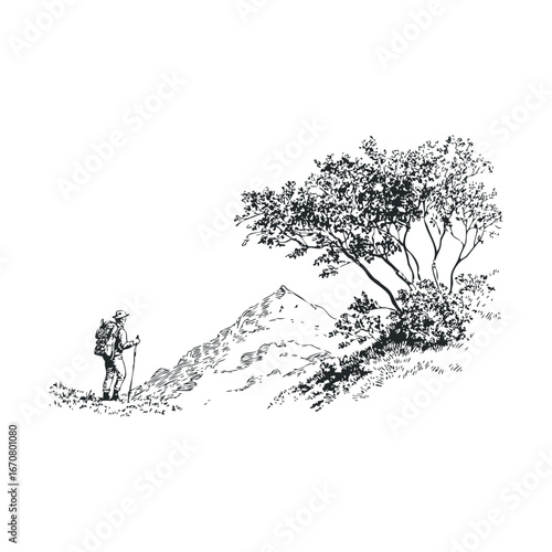 Hiking adventure in mountainous terrain with serene nature backdrop. Vector illustration