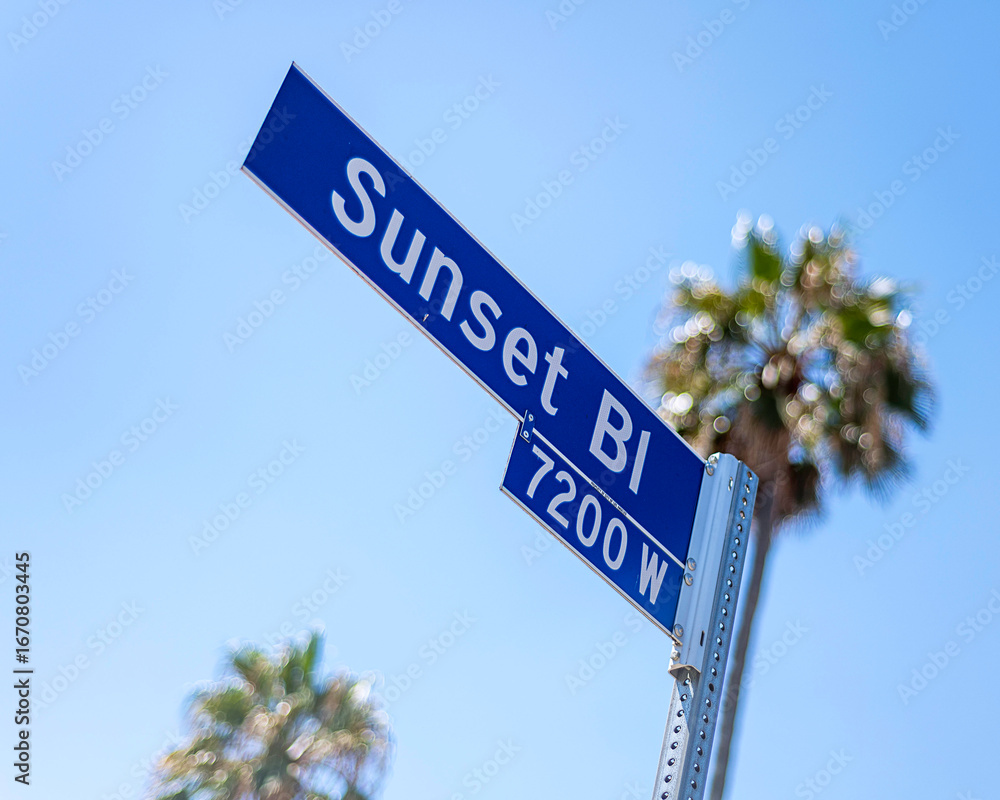 Fototapeta premium Close-up of a Sunset Blvd sign with Palm trees in Los Angeles, CA.