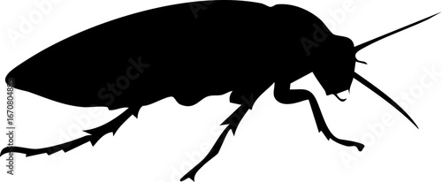 Contemporary Cockroach Icon Silhouette