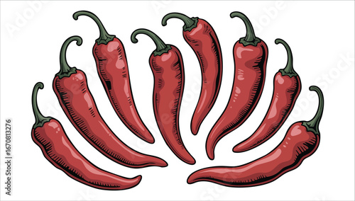 cartoon style red chili pepper isolated vector illustration on white background
