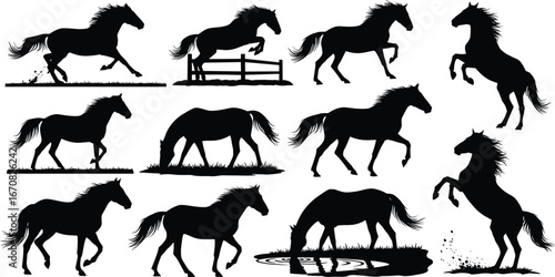 Silhouette of horses running, jumping, grazing, drinking water, rearing, wild horses in motion, horse set, animal shapes, equine nature, outdoor scenes, black vector art