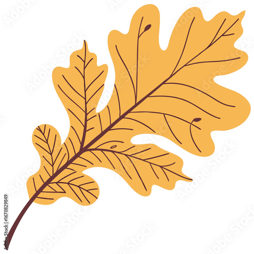 A stylized illustration of a yellow oak leaf on a white background