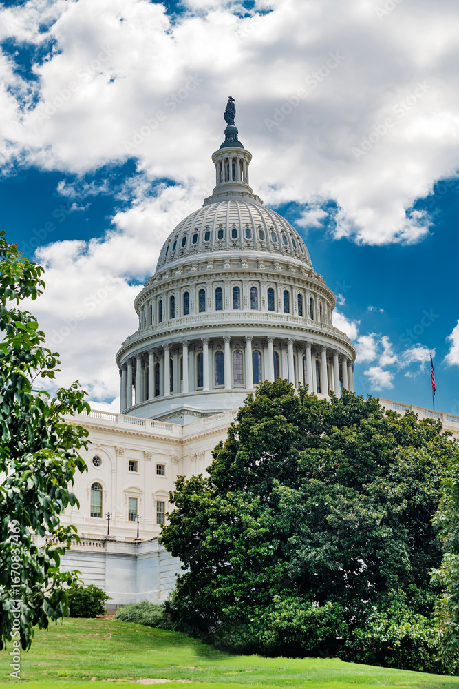 Naklejka premium Capitol Hill seen through lush greenery. Iconic dome under blue sky.