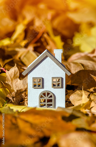 The symbol of the house stands among the fallen autumn leaves

