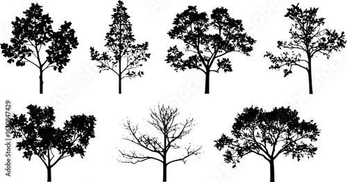 highly detailed tree silhouette set
