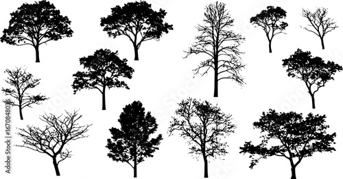 highly detailed tree silhouette set
