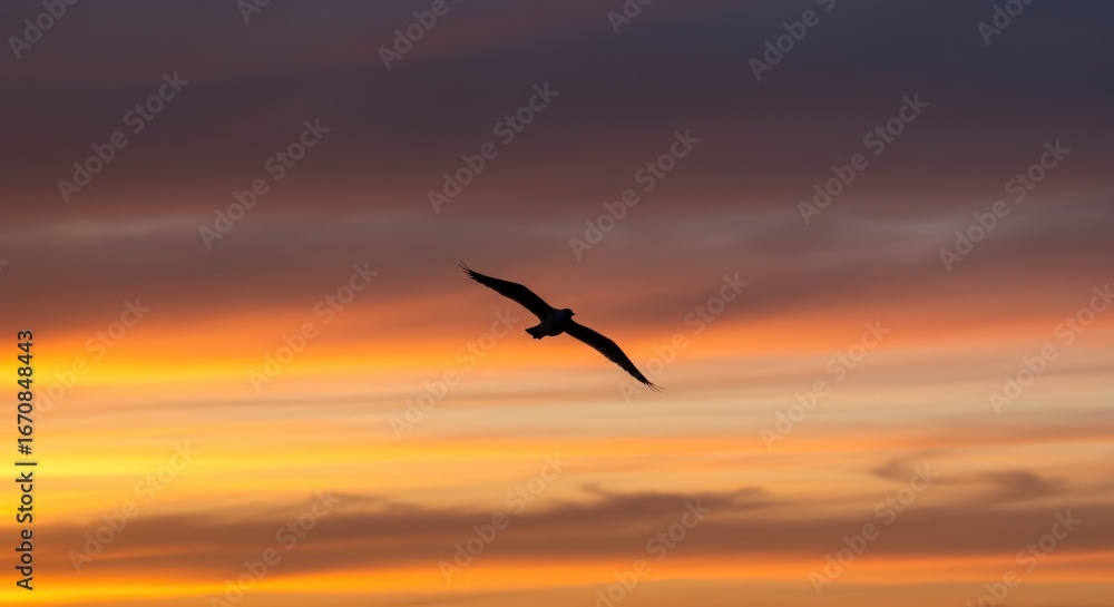 Fototapeta premium Bird soars against a vibrant sunset sky, freedom in flight