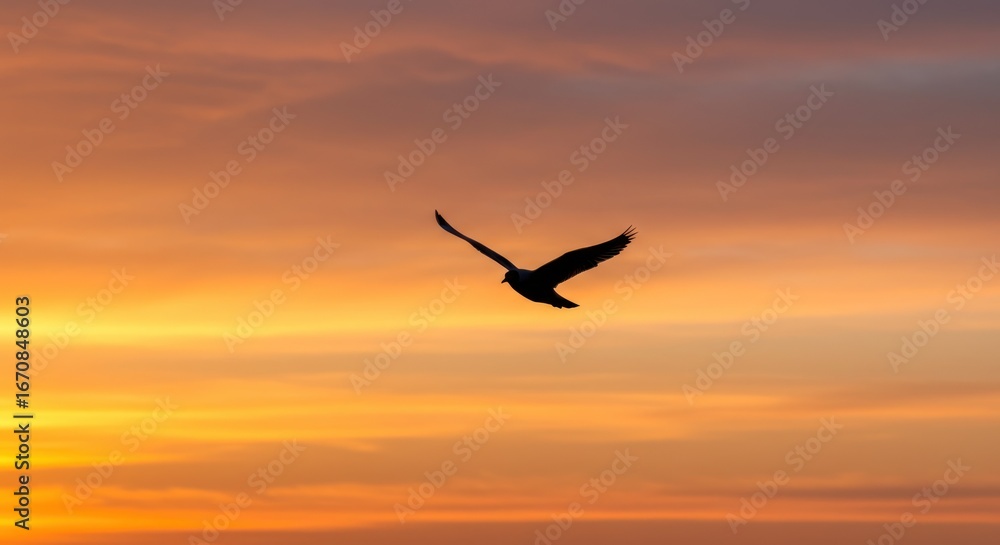 Fototapeta premium Silhouette of a Bird in Flight at Sunset A Serene Image