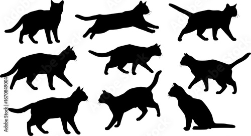 Stylish Silhouette Vector Set of Cats – Jumping, Sitting, Standing and Playing Poses
