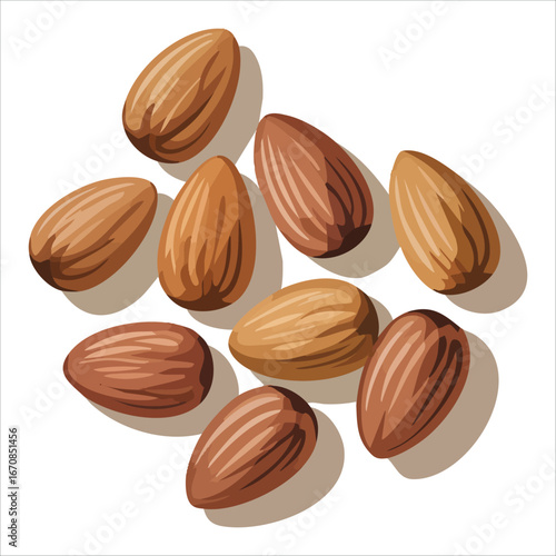 raw natural almonds with skin and shading vector art isolated on white background