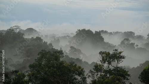fog in the mountains