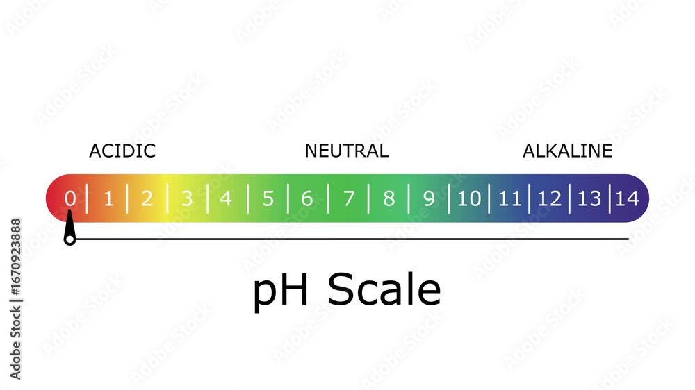 pH Scale Diagram Animation Acidic to Alkaline Levels, Educational pH ...