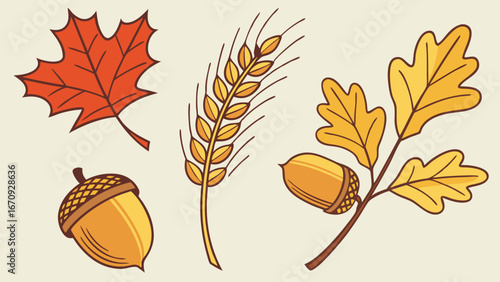 Autumn harvest elements wheat oak leaves acorns and maple leaf illustration.
