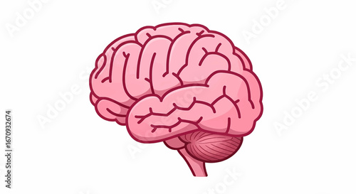 Human Brain Anatomy Vector Illustration Icon for Thought Concept
