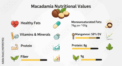 National day of macadamia nut september 4th vector macadamia nuts nutrition facts and health benefits including fats protein vitamins and minerals information