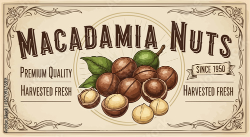 National day of macadamia nut september 4th vector buy premium quality macadamia nuts online fresh harvested since 1950 best price macadamia nuts product