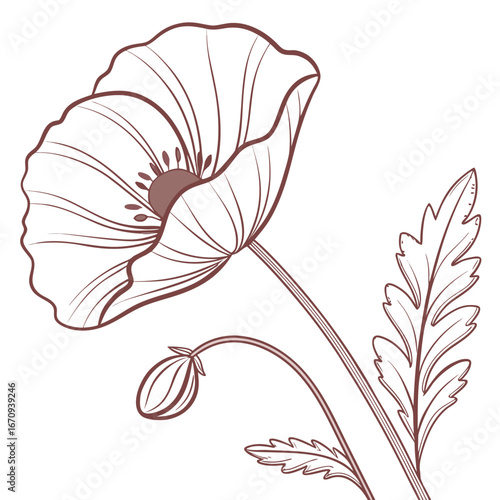 A poppy flower icon with a delicate, wavy petal structure.