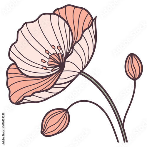 A poppy flower icon with a delicate, wavy petal structure.
