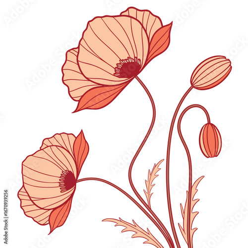 A poppy flower icon with a delicate, wavy petal structure.