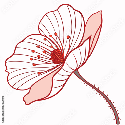 A poppy flower icon with a delicate, wavy petal structure.