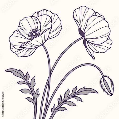 A poppy flower icon with a delicate, wavy petal structure.