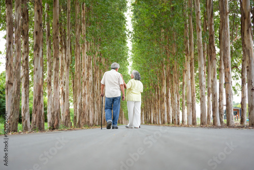 Obraz na plátně Back View of Senior Asian couple walking and talking in a park, Happy mature cou