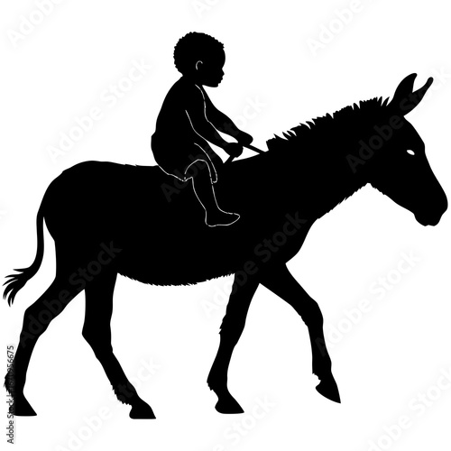 donkey and rider