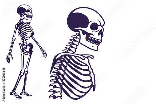 Skull silhouette in cap with crossed fishing rods and hooks on background - cut out vector emblem