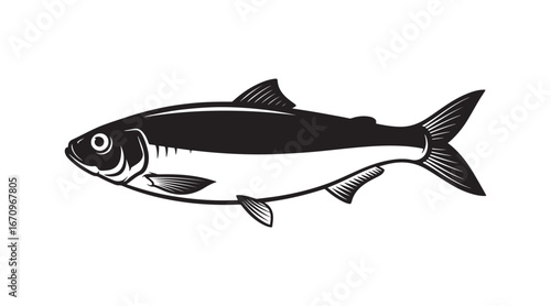Dark outline of a Baltic herring, perfect for seafood packaging design and marketing. Shad illustration

