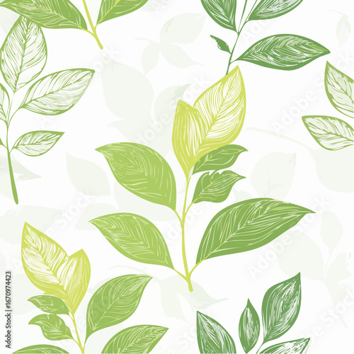 Watercolor seamless pattern of fresh peppermint leaves isolated on background detail of beauty
4