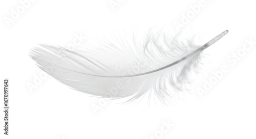Single white feather isolated on a clean black background in detail